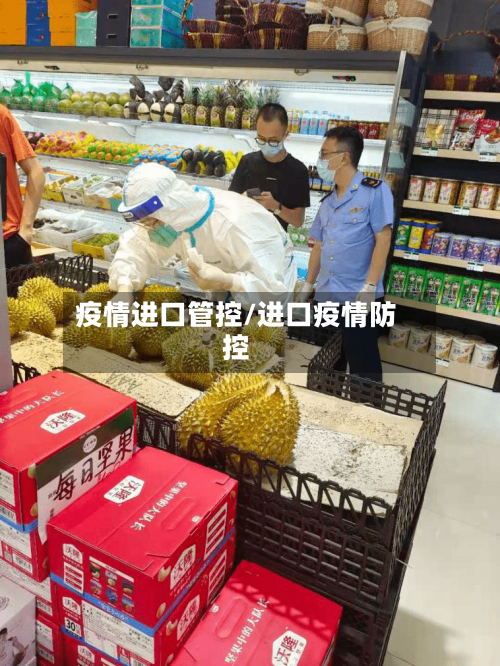 疫情进口管控/进口疫情防控