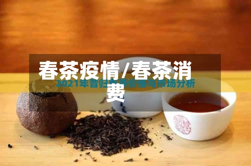 春茶疫情/春茶消费