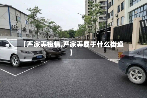 【严家弄疫情,严家弄属于什么街道】-第3张图片