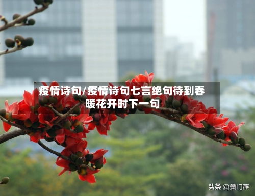 疫情诗句/疫情诗句七言绝句待到春暖花开时下一句