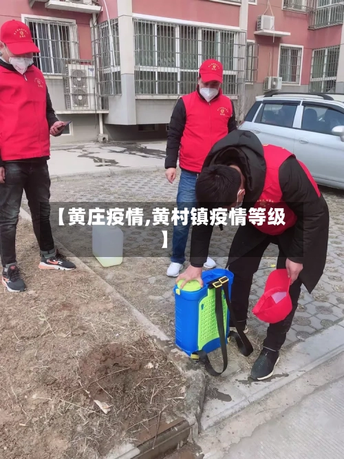 【黄庄疫情,黄村镇疫情等级】-第2张图片