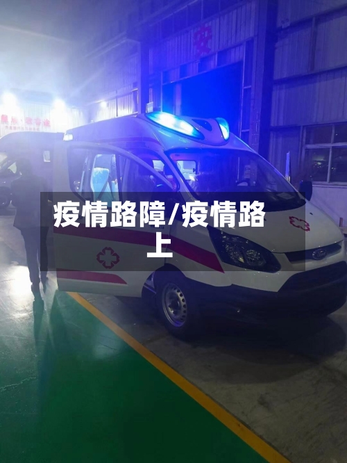 疫情路障/疫情路上-第3张图片