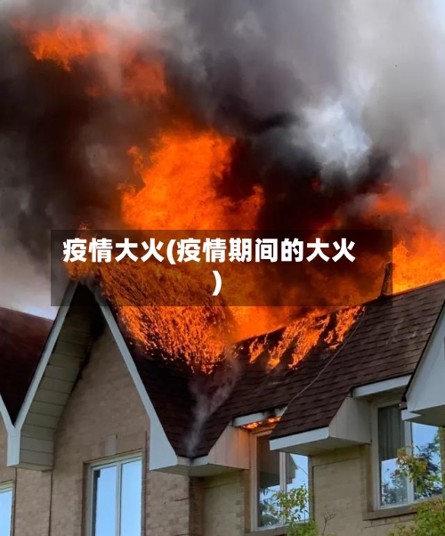 疫情大火(疫情期间的大火)