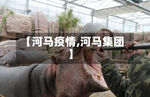 【河马疫情,河马集团】-第2张图片