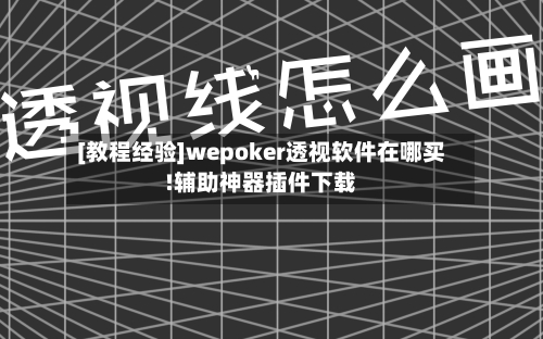 [教程经验]wepoker透视软件在哪买!辅助神器插件下载