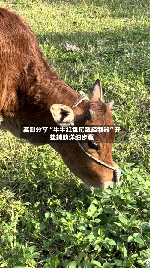 实测分享“牛牛红包尾数控制器	”开挂辅助详细步骤-第3张图片