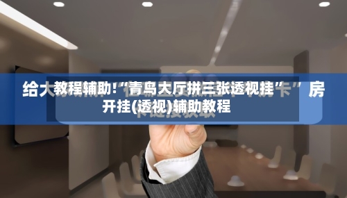 教程辅助!“青鸟大厅拼三张透视挂”开挂(透视)辅助教程