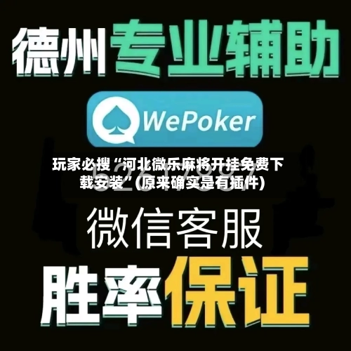 玩家必搜“河北微乐麻将开挂免费下载安装”(原来确实是有插件)