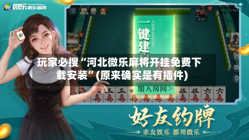 玩家必搜“河北微乐麻将开挂免费下载安装”(原来确实是有插件)-第3张图片