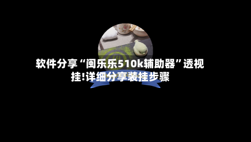 软件分享“闽乐乐510k辅助器”透视挂!详细分享装挂步骤-第2张图片