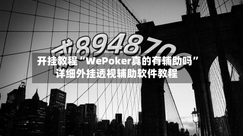 开挂教程“WePoker真的有辅助吗”详细外挂透视辅助软件教程-第3张图片