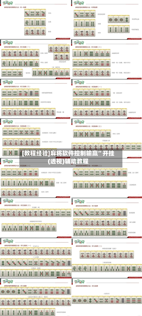 [教程经验]麻将软件控制输赢	”开挂(透视)辅助教程-第2张图片