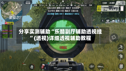 分享实测辅助“乐酷副厅辅助透视挂”(透视)详细透视辅助教程-第2张图片