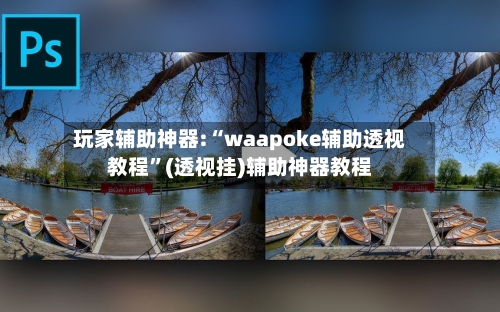 玩家辅助神器:“waapoke辅助透视教程”(透视挂)辅助神器教程-第3张图片