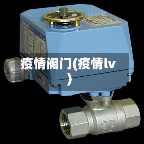 疫情阀门(疫情lv)