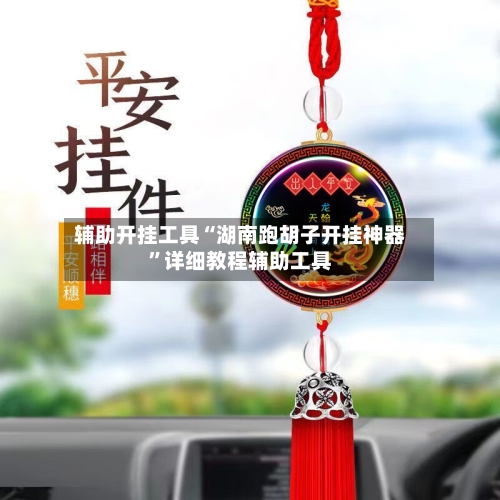 辅助开挂工具“湖南跑胡子开挂神器	”详细教程辅助工具-第3张图片