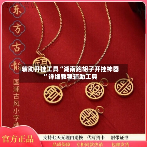 辅助开挂工具“湖南跑胡子开挂神器”详细教程辅助工具-第2张图片