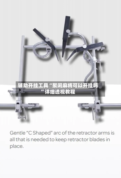 辅助开挂工具“聚闲麻将可以开挂吗	”详细透视教程-第2张图片