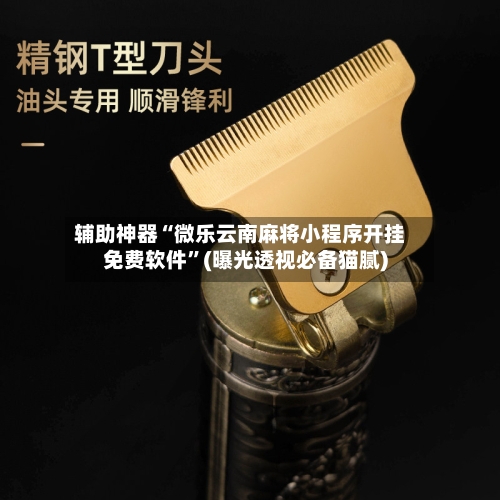 辅助神器“微乐云南麻将小程序开挂免费软件”(曝光透视必备猫腻)-第2张图片