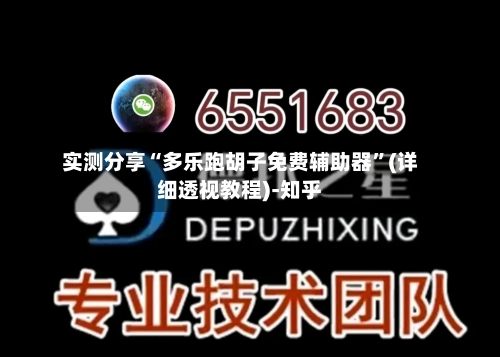 实测分享“多乐跑胡子免费辅助器”(详细透视教程)-知乎-第2张图片