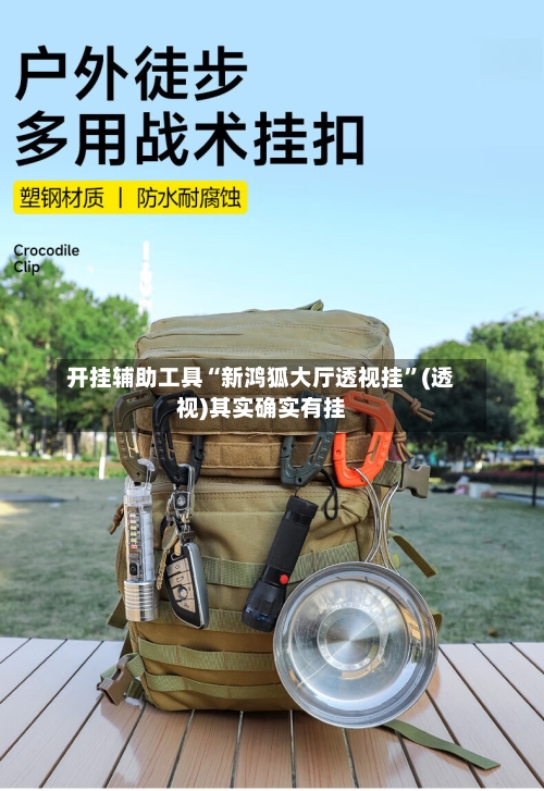 开挂辅助工具“新鸿狐大厅透视挂”(透视)其实确实有挂-第3张图片