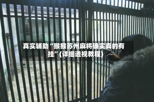 真实辅助“猴猴苏州麻将确实真的有挂	”(详细透视教程)-第2张图片