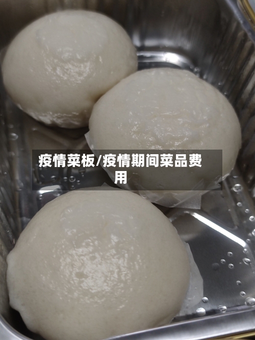 疫情菜板/疫情期间菜品费用-第2张图片