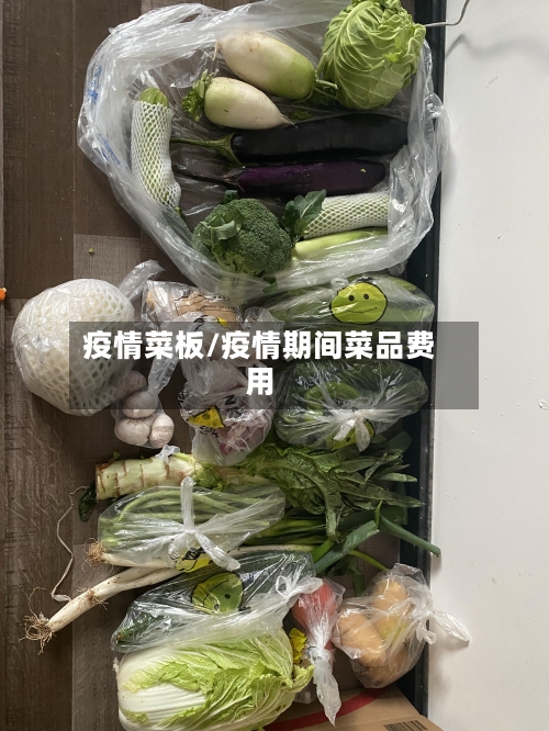 疫情菜板/疫情期间菜品费用