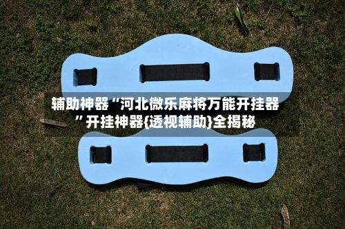 辅助神器“河北微乐麻将万能开挂器”开挂神器{透视辅助}全揭秘-第2张图片