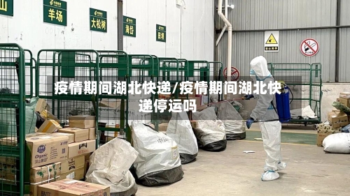 疫情期间湖北快递/疫情期间湖北快递停运吗-第2张图片