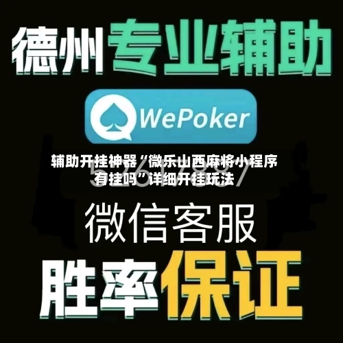 辅助开挂神器“微乐山西麻将小程序有挂吗”详细开挂玩法-第3张图片