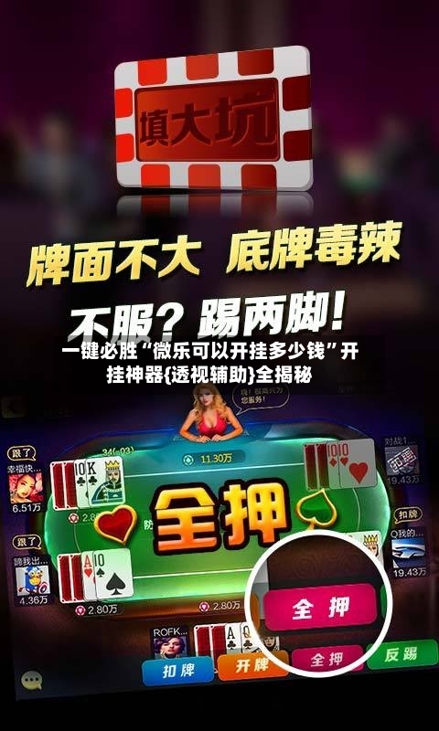 一键必胜“微乐可以开挂多少钱”开挂神器{透视辅助}全揭秘-第3张图片