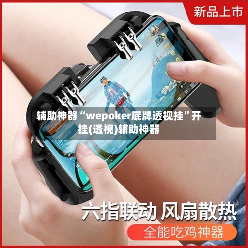 辅助神器“wepoker底牌透视挂”开挂(透视)辅助神器-第3张图片