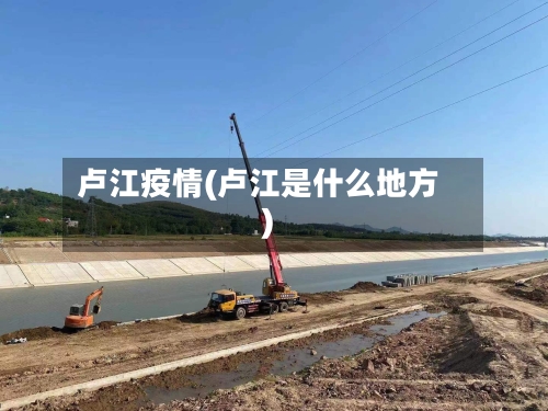 卢江疫情(卢江是什么地方)