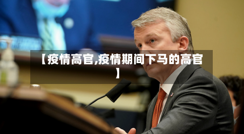【疫情高官,疫情期间下马的高官】