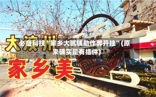 必备科技“家乡大贰辅助作弊开挂”(原来确实是有插件)-第3张图片