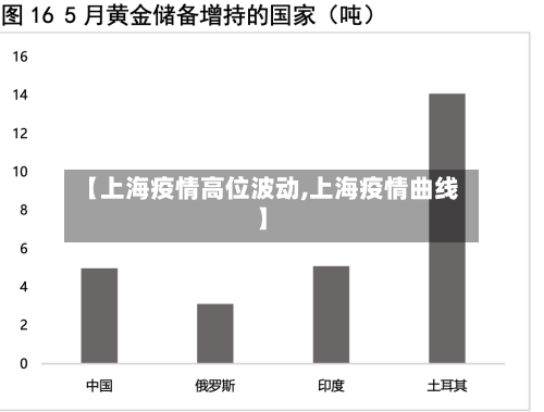 【上海疫情高位波动,上海疫情曲线】-第2张图片
