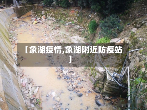 【象湖疫情,象湖附近防疫站】