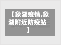 【象湖疫情,象湖附近防疫站】-第2张图片