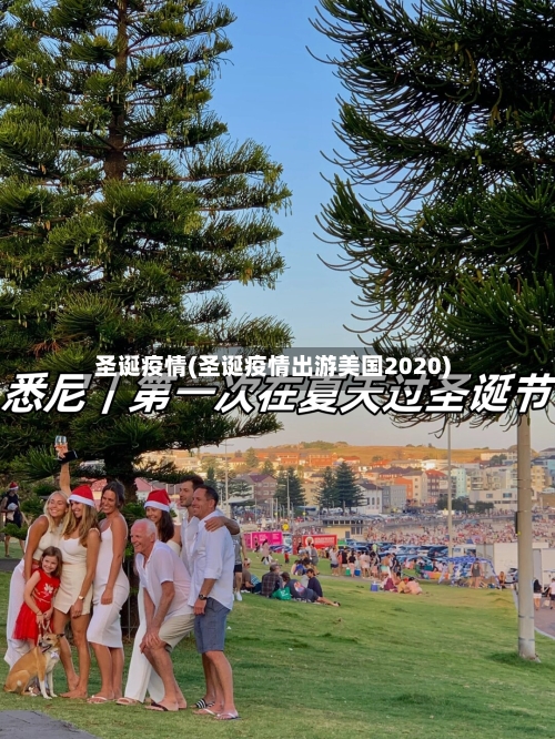 圣诞疫情(圣诞疫情出游美国2020)-第2张图片
