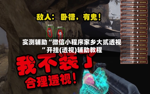 实测辅助“微信小程序家乡大贰透视”开挂(透视)辅助教程-第2张图片