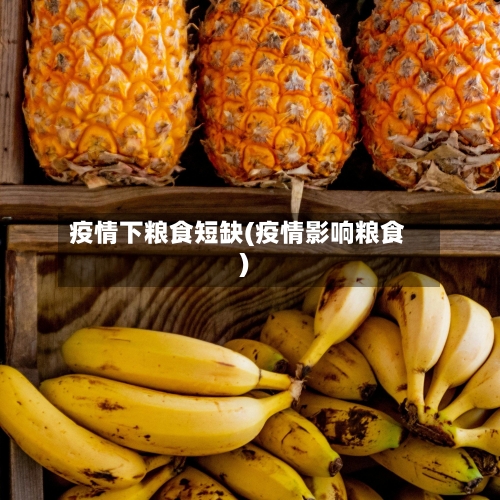 疫情下粮食短缺(疫情影响粮食)