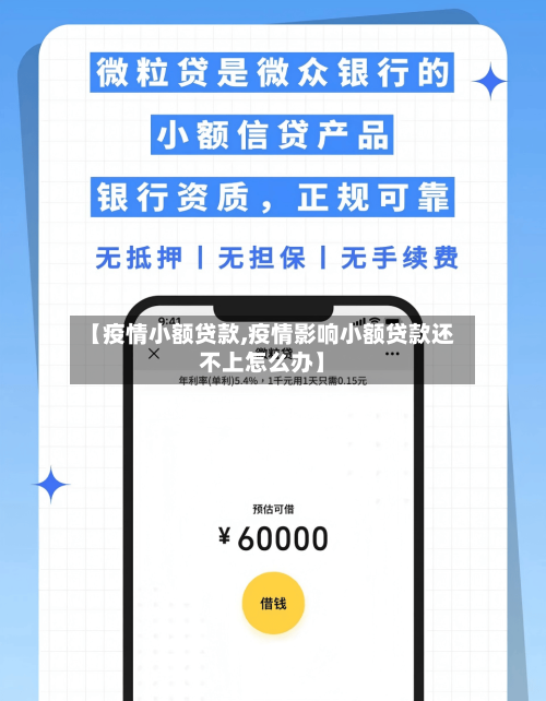 【疫情小额贷款,疫情影响小额贷款还不上怎么办】-第3张图片
