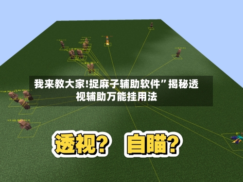 我来教大家!捉麻子辅助软件”揭秘透视辅助万能挂用法