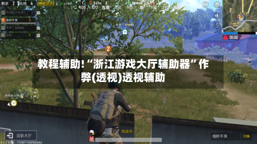 教程辅助!“浙江游戏大厅辅助器”作弊(透视)透视辅助