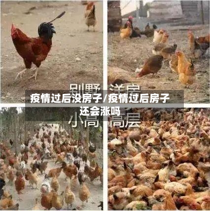 疫情过后没房子/疫情过后房子还会涨吗