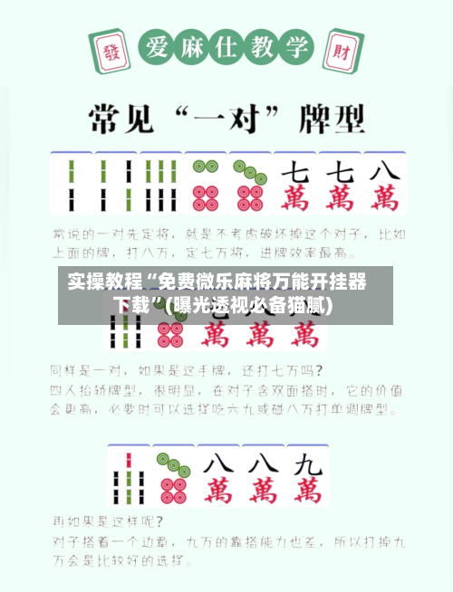 实操教程“免费微乐麻将万能开挂器下载”(曝光透视必备猫腻)-第2张图片