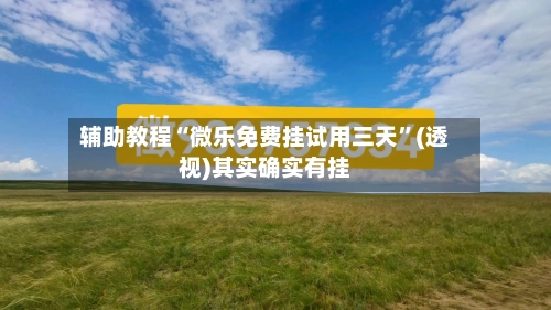 辅助教程“微乐免费挂试用三天”(透视)其实确实有挂