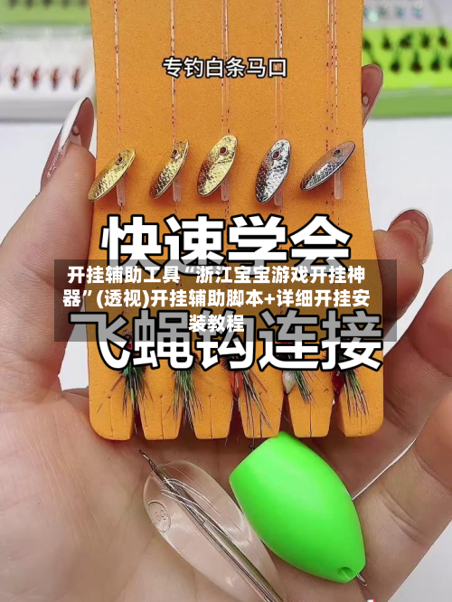 开挂辅助工具“浙江宝宝游戏开挂神器”(透视)开挂辅助脚本+详细开挂安装教程