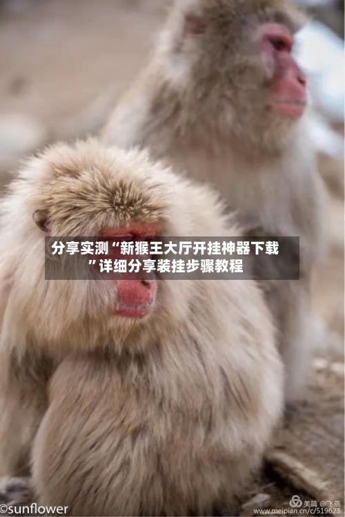 分享实测“新猴王大厅开挂神器下载”详细分享装挂步骤教程-第2张图片